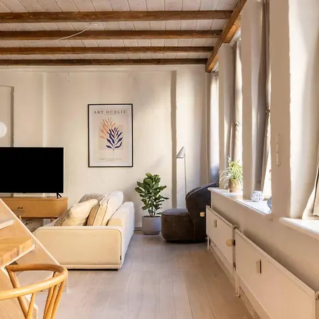 Apartment Stylish Duplex In N